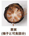 果実(種子と可食部分)