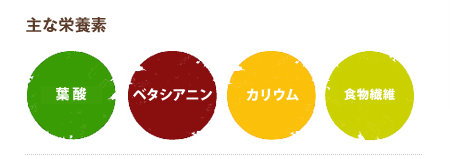 主な栄養素
