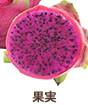 果実